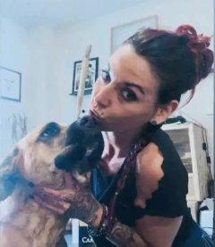 Service garde animaux